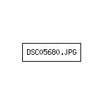DSC05680.JPG